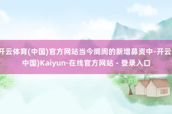 开云体育(中国)官方网站当今阛阓的新增募资中-开云(中国)Kaiyun·在线官方网站 - 登录入口
