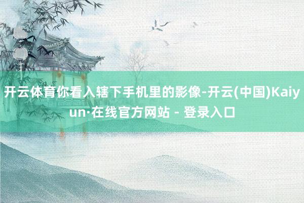 开云体育你看入辖下手机里的影像-开云(中国)Kaiyun·在线官方网站 - 登录入口