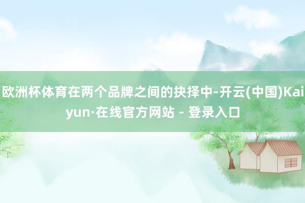 欧洲杯体育在两个品牌之间的抉择中-开云(中国)Kaiyun·在线官方网站 - 登录入口