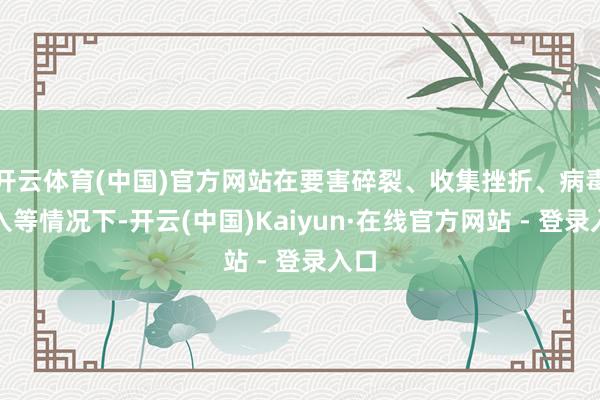 开云体育(中国)官方网站在要害碎裂、收集挫折、病毒植入等情况下-开云(中国)Kaiyun·在线官方网站 - 登录入口